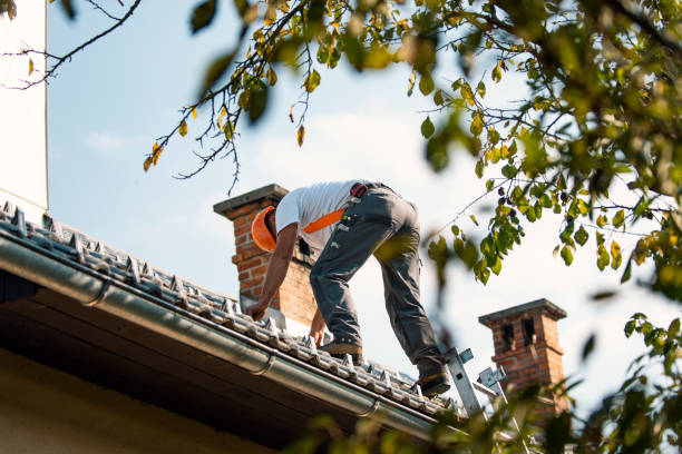 Professional Roofing Contractor in Janesville, IA