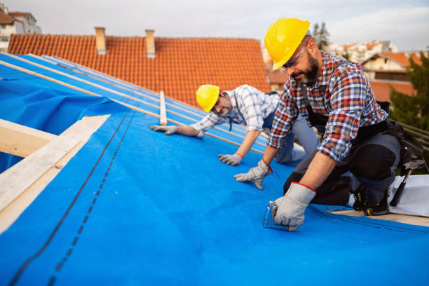 Best Storm Damage Roof Repair  in Janesville, IA